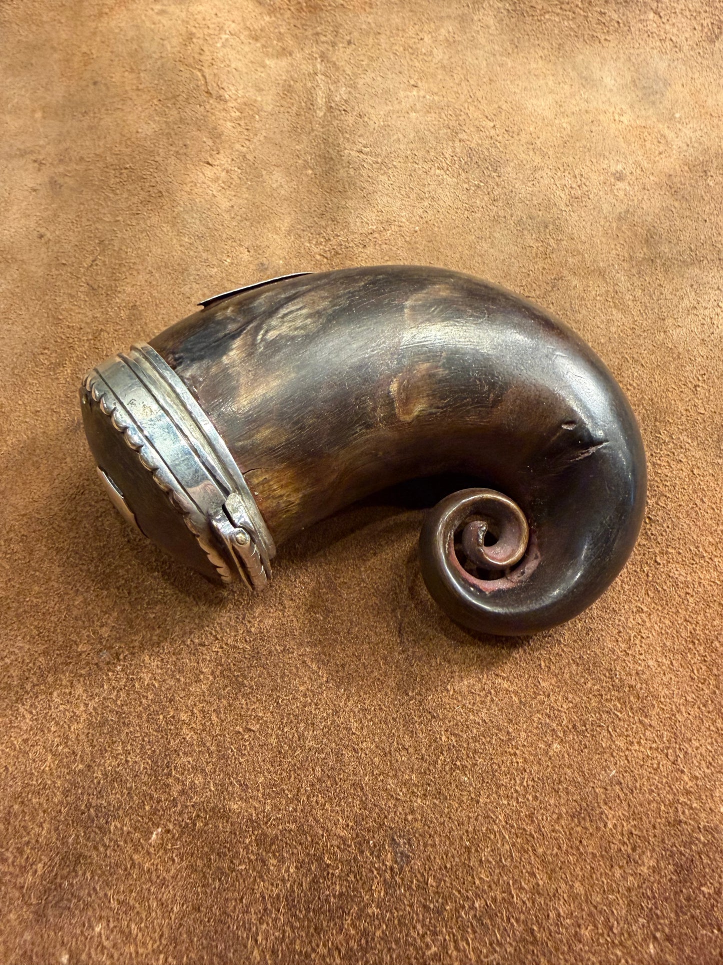 Antique Scottish Silver Mounted Ram Horn Snuff Mull 19th Century