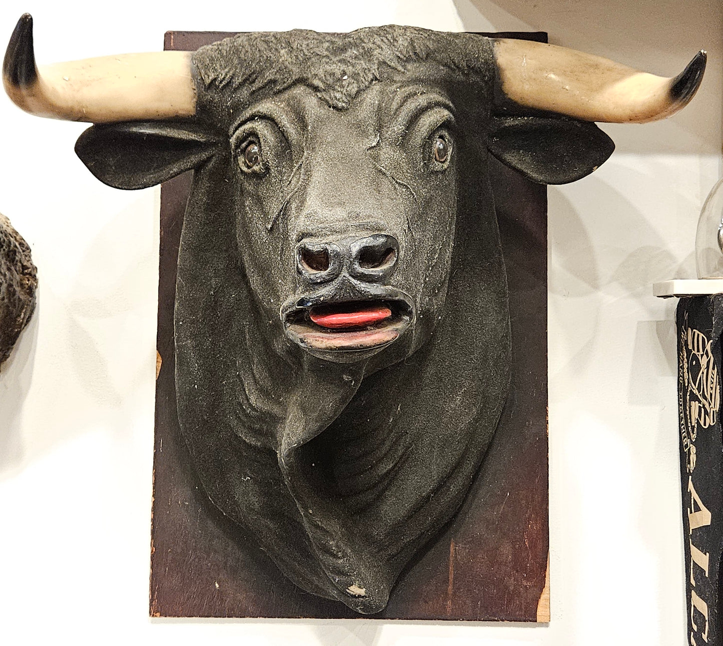 Bull Bust 1950s From Butcher Shop