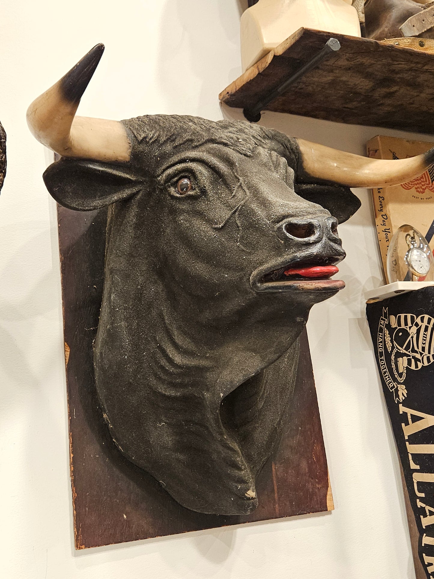 Bull Bust 1950s From Butcher Shop