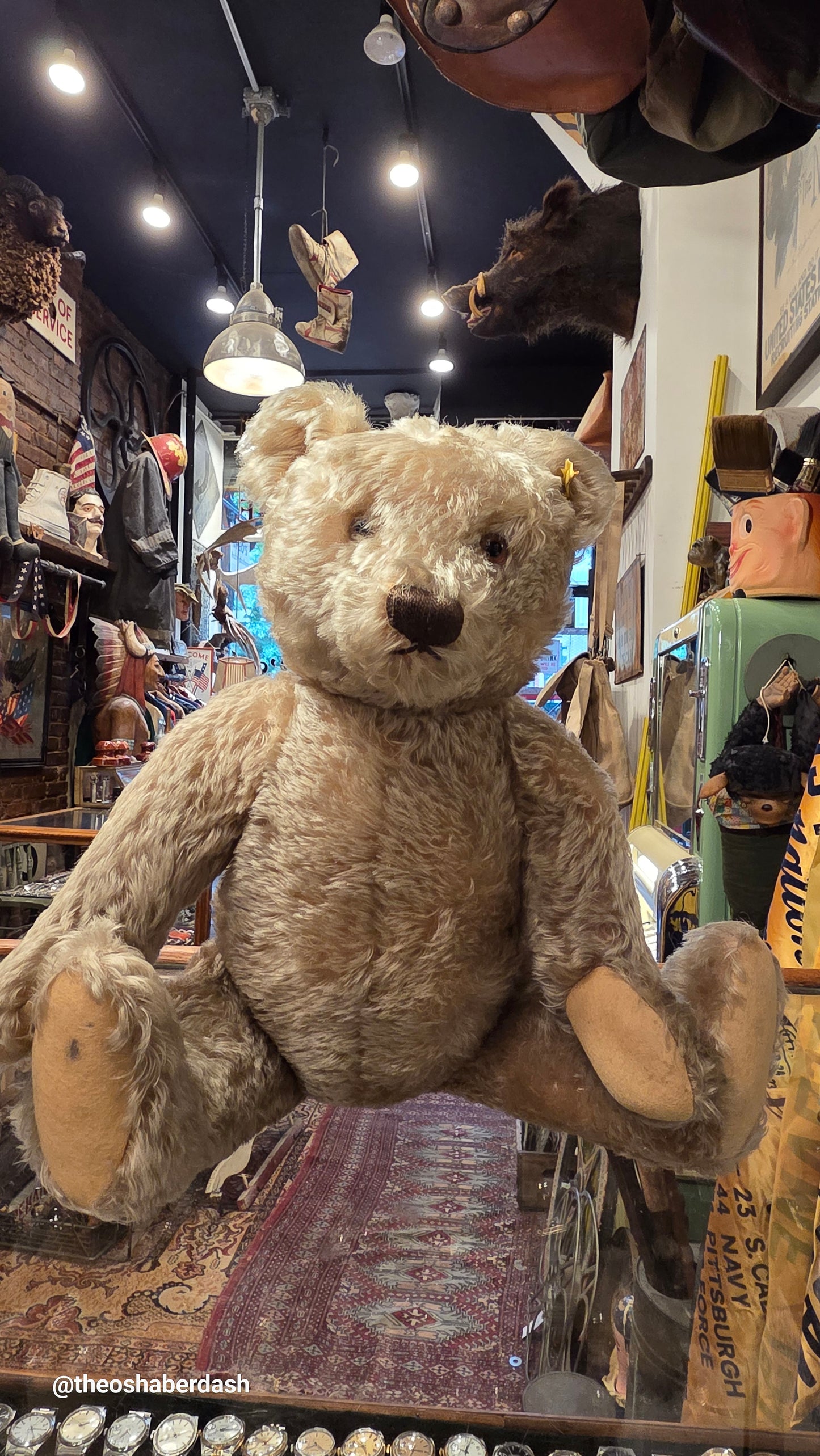 Steiff Teddy Bear 20 inch from the 1950s.