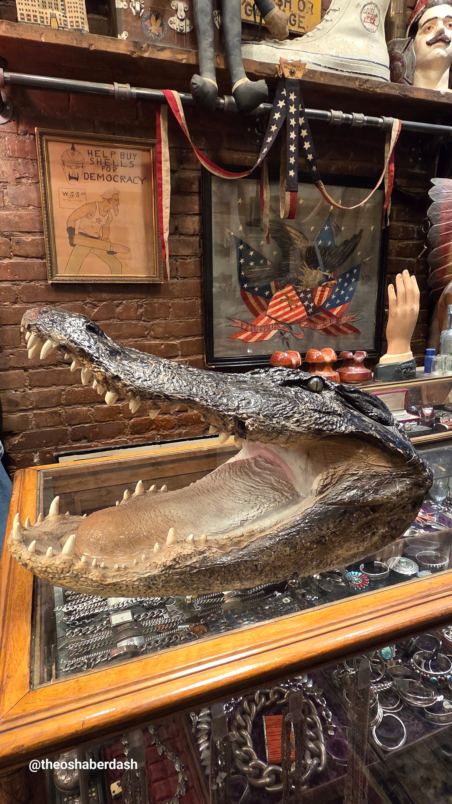 Alligator bust XL