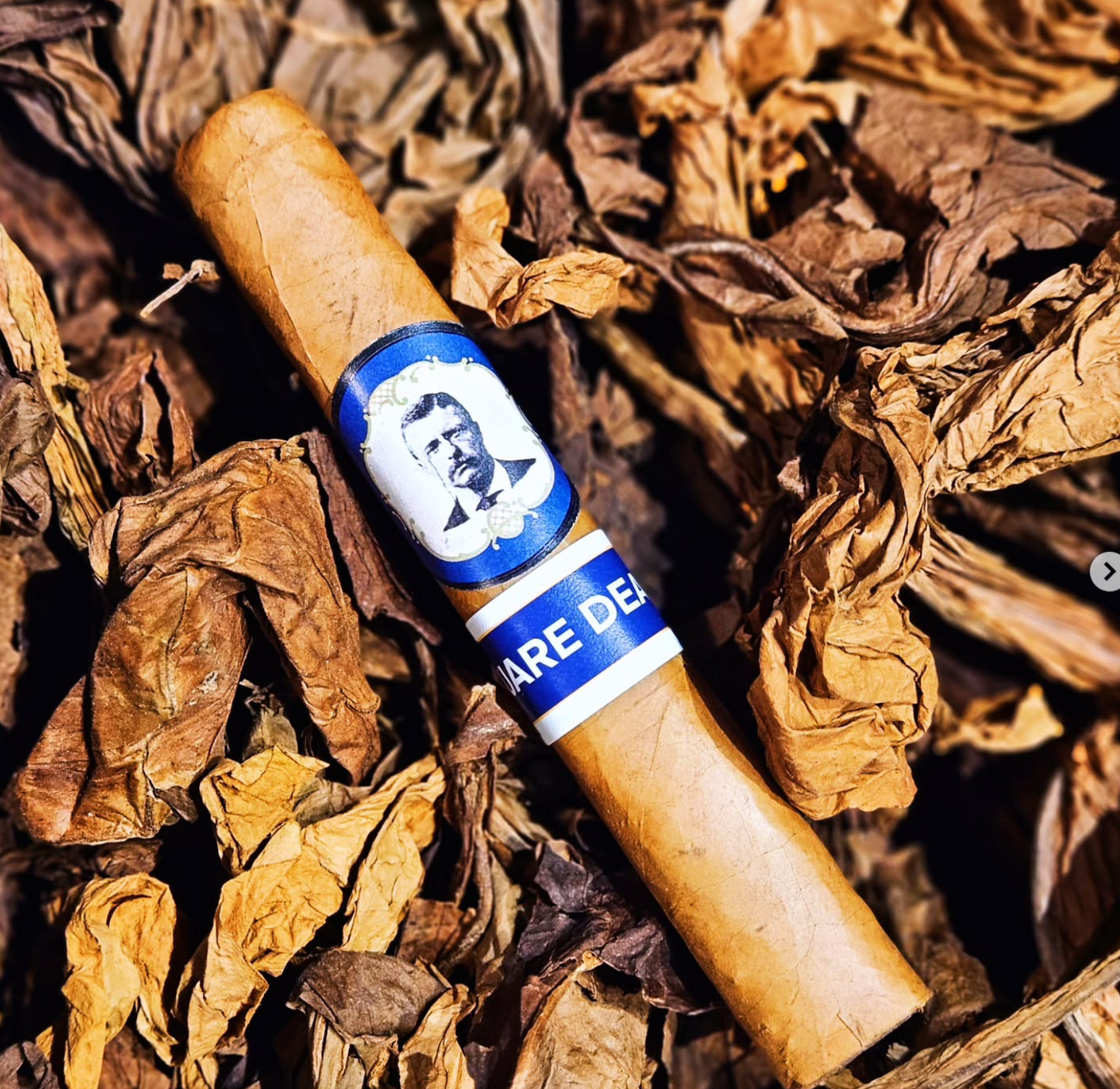 The Square Deal – Premium Hand-Rolled Cigar